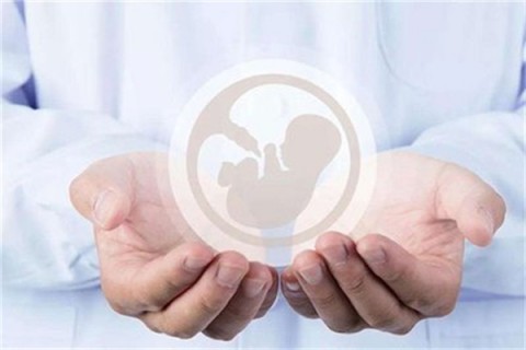 http://zhongshan.hy-ly.com/post/203.html|中山试管助孕