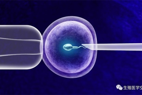 女人中山代生孩子的最佳年龄段 一辈子生几个孩子最好